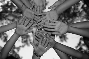 rueda-vida-amistad-oblu-coaching